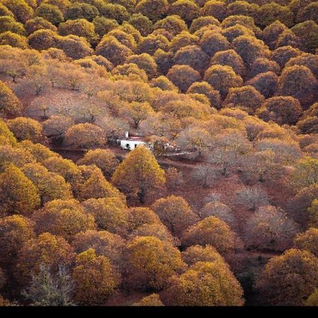Casa Rural Los Jilgueros Pujerra Екстер'єр фото